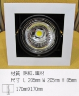 AR111-1燈